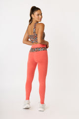 Gabi contrast waistband legging scarlet